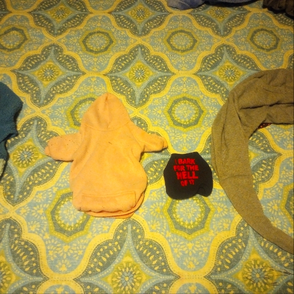 Dog outfits